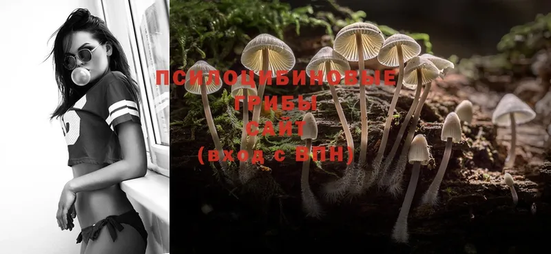 купить наркоту  Волгоград  Галлюциногенные грибы Magic Shrooms 